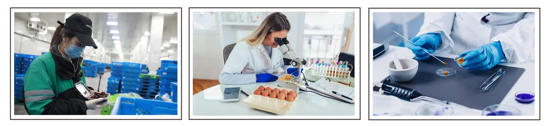 Longyan Spring Biological Technology Co., Limited.jpg qa.jpg
