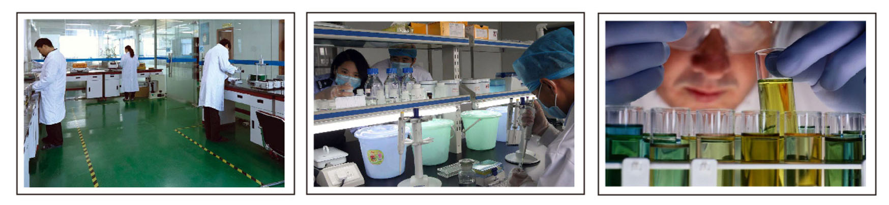 qa.jpg Longyan Spring Biological Technology Co., Limited.jpg